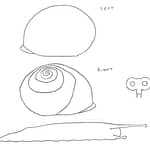 Wind-Up Snail