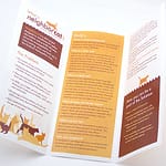 The NeighborCat Project kit