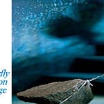 Butterfly Station Massage