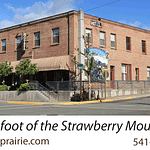 Hotel Prairie Logo and Business Cards