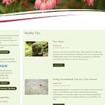 Be-Joy! Medical Intuitive