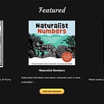 John D Maddin Art website