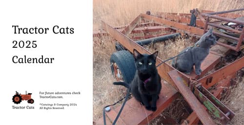 Cover of 2025 Tractor Cats Desk Calendar